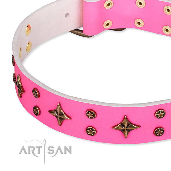 Full grain natural leather dog collar with inimitable adornments