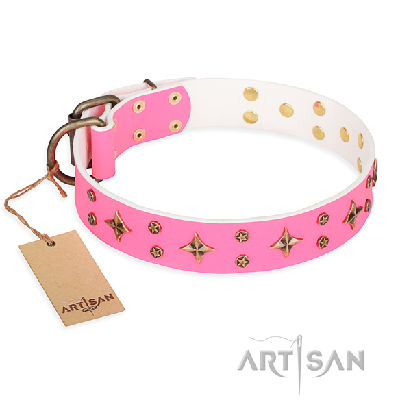 Extraordinary full grain natural leather dog collar for daily use