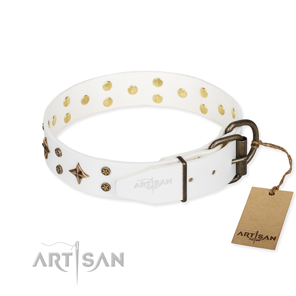 Handy use full grain genuine leather collar with adornments for your canine