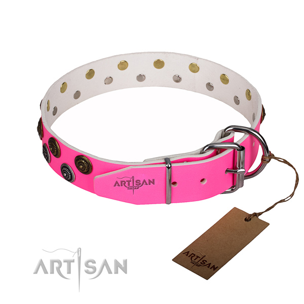 Stylish walking full grain genuine leather collar with adornments for your dog