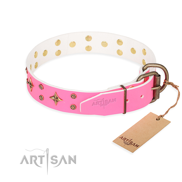 Walking full grain natural leather collar with embellishments for your doggie