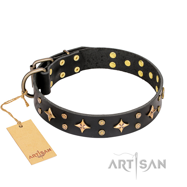 Impressive natural genuine leather dog collar for stylish walking