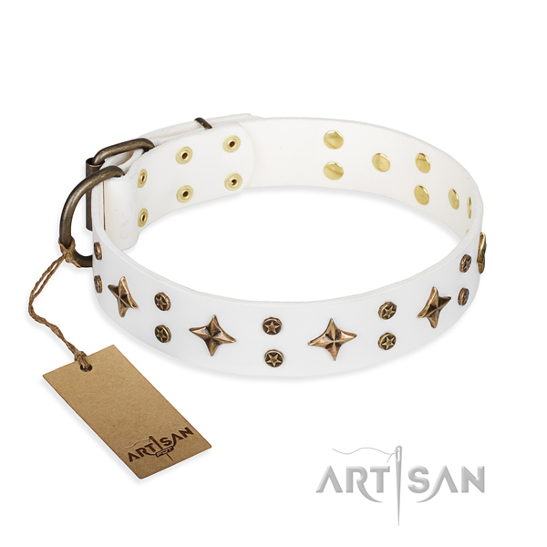 Impressive leather dog collar for handy use
