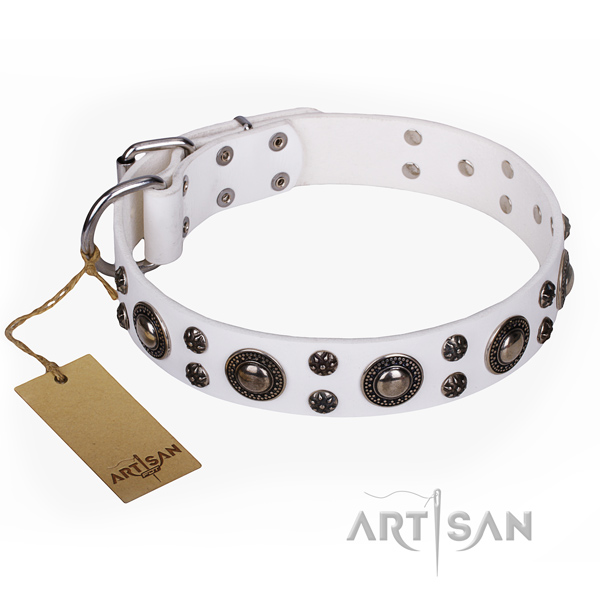 Awesome leather dog collar for walking
