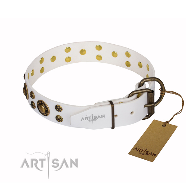 Awesome full grain natural leather dog collar for stylish walking