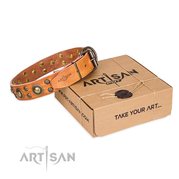 Full grain natural leather dog collar with embellishments for walking