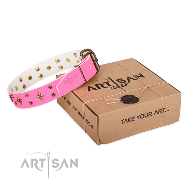 Embellished leather dog collar for daily use