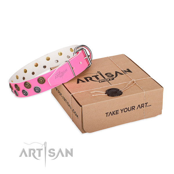 Embellished genuine leather dog collar for everyday walking
