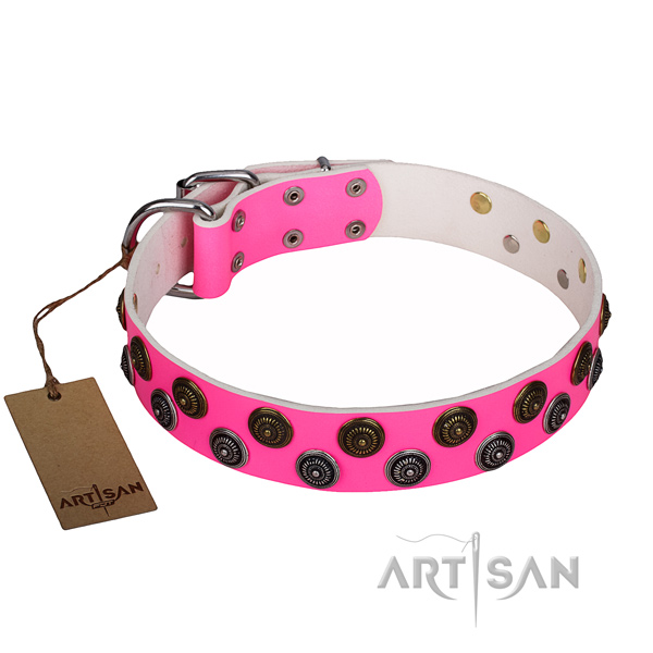 Significant leather dog collar for everyday use