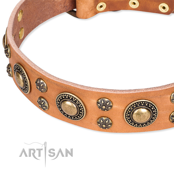 Leather dog collar with remarkable studs