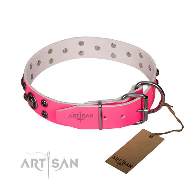 Daily use genuine leather collar with reliable buckle and D-ring