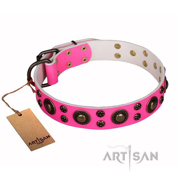 Walking leather collar with decorations for your pet