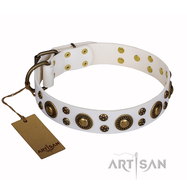 Everyday walking leather collar with decorations for your pet