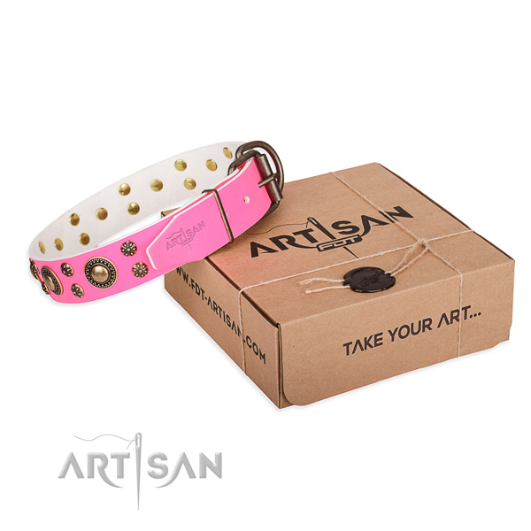 Leather dog collar with studs for walking