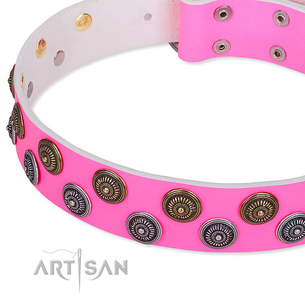 Full grain leather dog collar with trendy embellishments