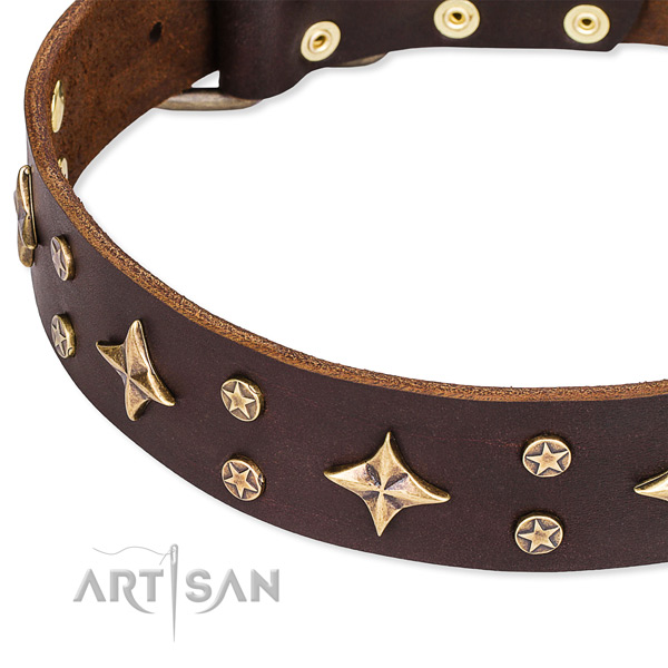 Full grain genuine leather dog collar with fashionable studs