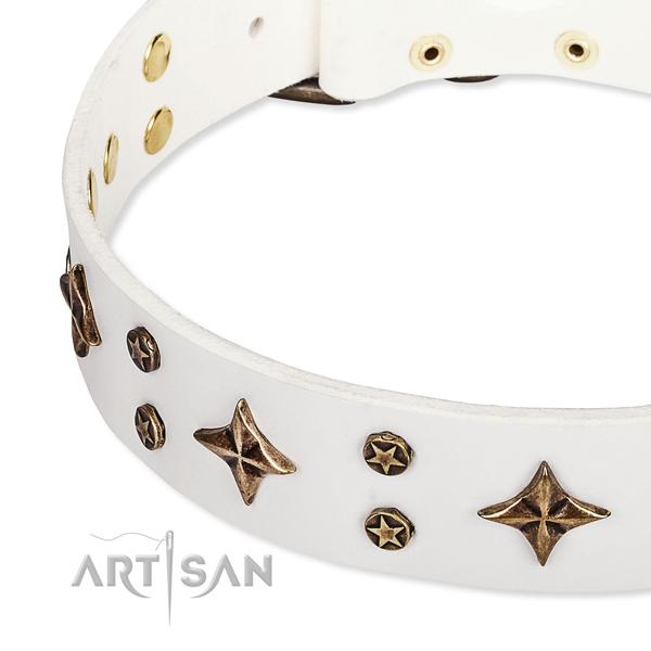 Full grain natural leather dog collar with incredible embellishments
