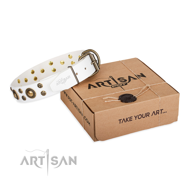 Natural genuine leather dog collar with adornments for daily use