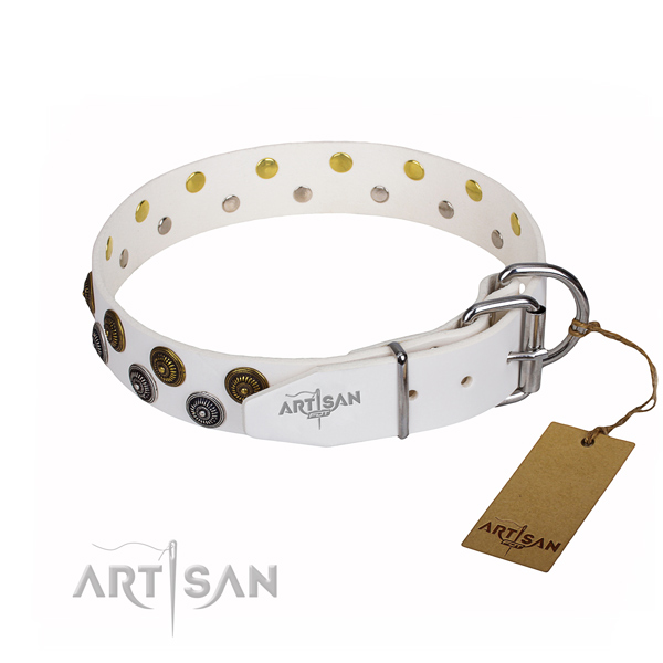 Daily walking full grain leather collar with adornments for your doggie