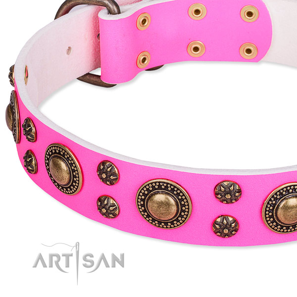 Natural genuine leather dog collar with unique embellishments