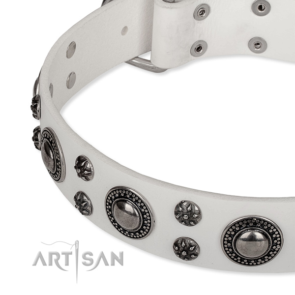 Handy use leather collar with durable buckle and D-ring