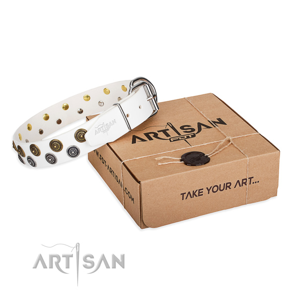 Genuine leather dog collar with studs for daily walking