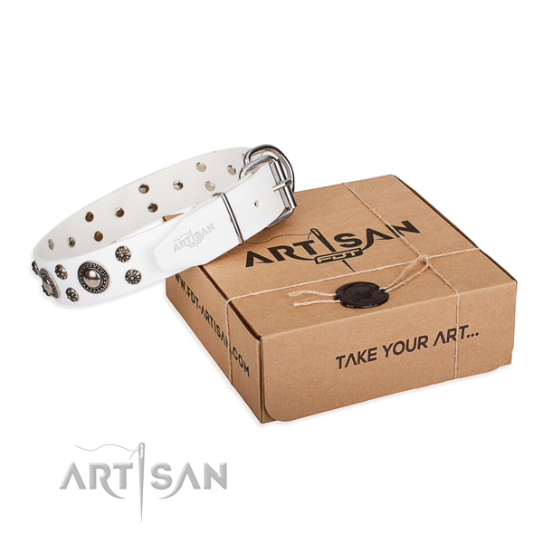 High quality natural genuine leather dog collar for daily walking