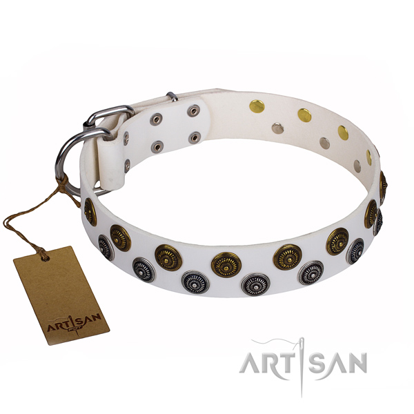 Significant full grain genuine leather dog collar for daily walking
