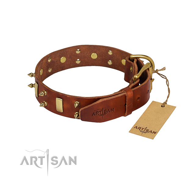 Durable leather dog collar with reliable elements