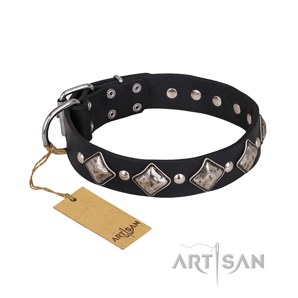 Resistant leather dog collar with rust-proof details