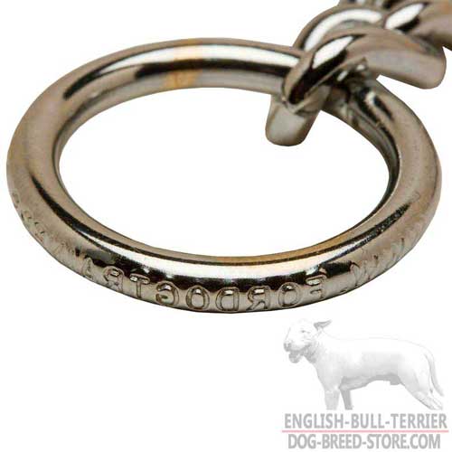 Strong O-Ring on Durable Chrome Plated Bull Terrier Choke Collar