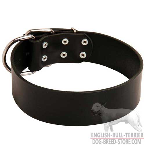 Classic Extra Wide Leather Dog Collar for English Bull Terrier Walking