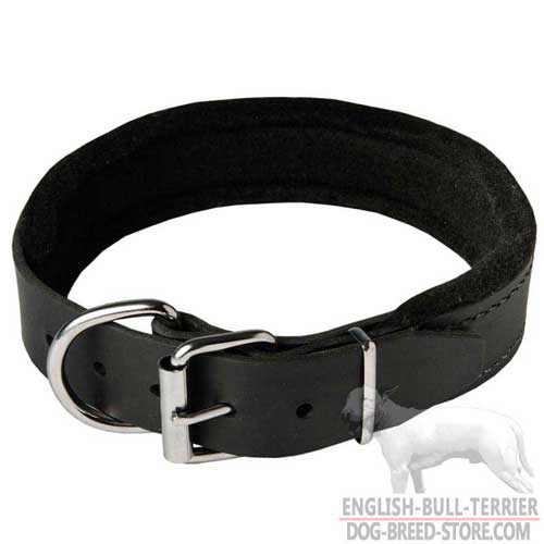 Walking Leather Bull Terrier Collar with Reliable Buckle