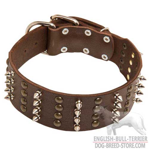 Spiked and Studded Wide Leather Dog Collar for English Bull Terrier Walking