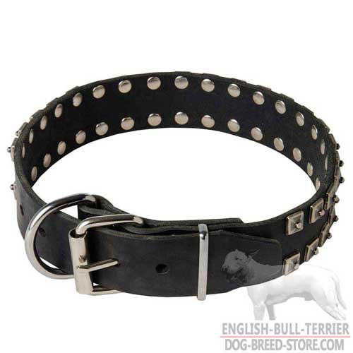 Studded Leather English Bull Terrier Collar with Nickel Plated Hardware