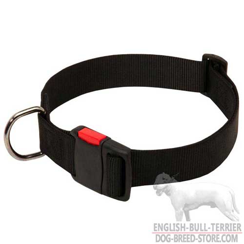 Nylon English Bull Terrier Collar for Walking