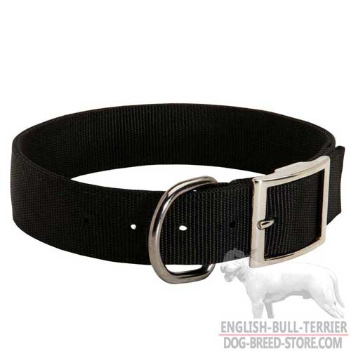 All Weather Nylon English Bull Terrier Collar with Strong D-Ring