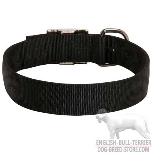 Nylon Dog Collar for English Bull Terrier Training