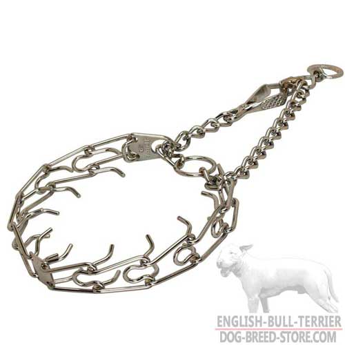 High-Quality Chrome Plated Steel Dog Collar for English Bull Terrier