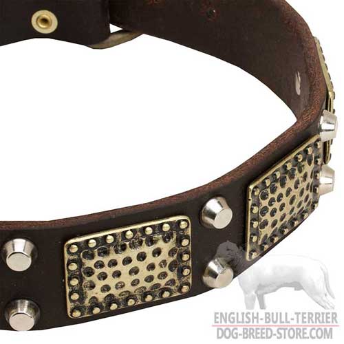 Bull Terrier Dog Leather Collar, Beautiful Design