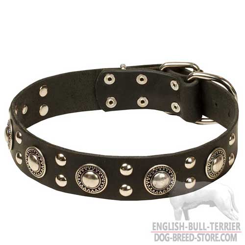 Leather Dog Collar for Bull Terriers, rich adornment