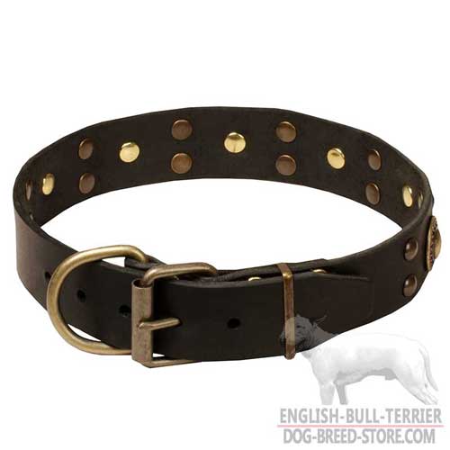 Leather Collar With Brass Studs for English Bull Terrier Walking