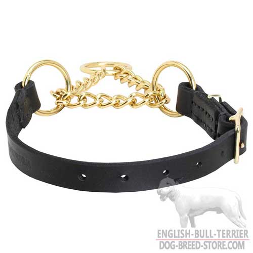 Martingale Dog Collar for English Bull Terrier Training