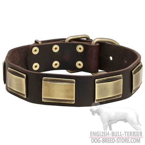 Bull Terrier Dog Leather Collar with Plates