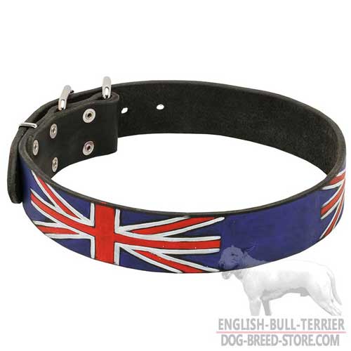 English Bull Terrier Leather Collar Wanterproof Paints