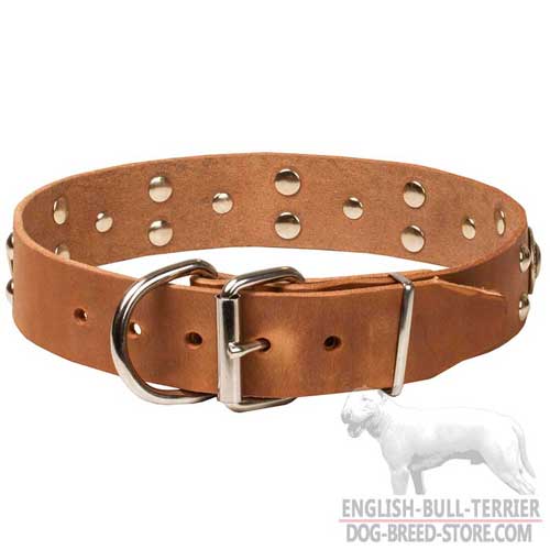 Belt buckle of Bull Terrier dog collar