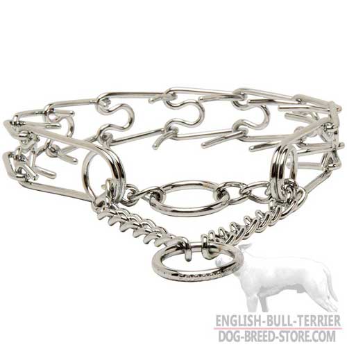 Durable Dog Collar for English Bull Terrier