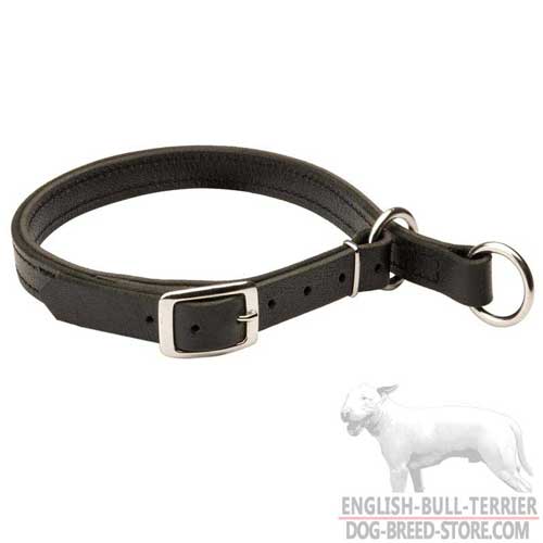 Training Leather English Bull Terrier Slip Collar with Buckle