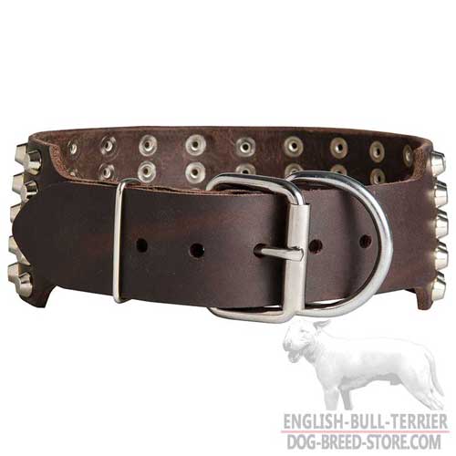 Bull Terrier Collar Studded with Extra Durable Buckle