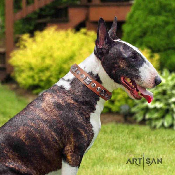 English Bull Terrier unusual full grain genuine leather collar with rust resistant hardware